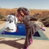 A.I.8 AFRICAN INTELLIGENCE - ORIGIN STORY BACKPACK (DLXV)