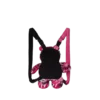 AFTERGLOW SKYGLOW BEAR CUB BACKPACK