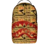 CCTV SECTOR 404 BACKPACK