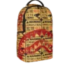 CCTV SECTOR 404 BACKPACK