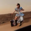 CHROME SPECTRE CARRY-ON LUGGAGE