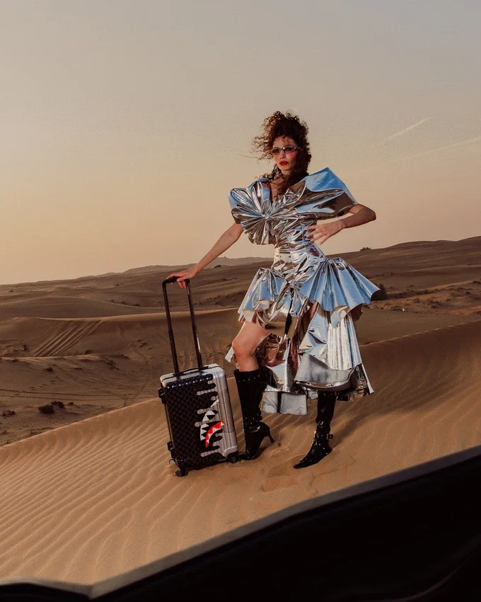 CHROME SPECTRE CARRY-ON LUGGAGE