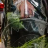 CLEAR BACKPACK - SHARK CENTRAL