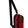 DIVIDE & CONQUER BACKPACK SLING