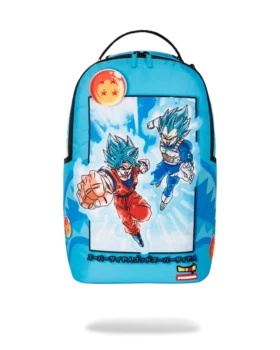 DRAGON BALL Z SUPER SAIYAN BLUE GOKU AND VEGETA