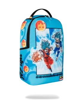 DRAGON BALL Z SUPER SAIYAN BLUE GOKU AND VEGETA