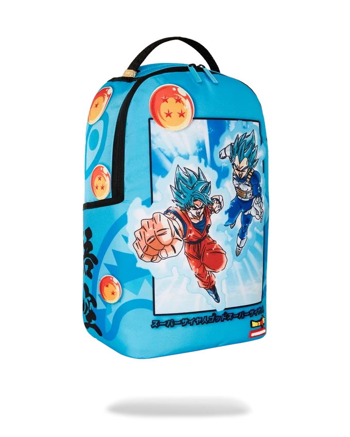 DRAGON BALL Z SUPER SAIYAN BLUE GOKU AND VEGETA