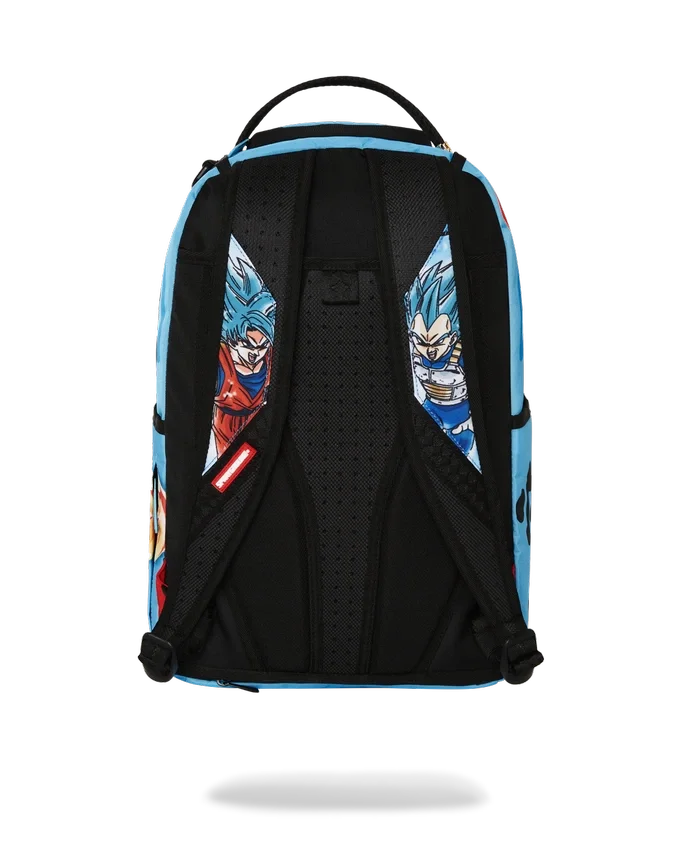 DRAGON BALL Z SUPER SAIYAN BLUE GOKU AND VEGETA