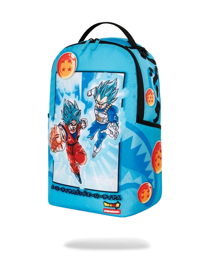 DRAGON BALL Z SUPER SAIYAN BLUE GOKU AND VEGETA