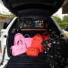 JAMES FIRST CLASS FIRST LADY MINI CHATEAU BACKPACK