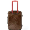 JUNGLE PARIS 2 PC LUGGAGE SET (CARRY-ON & FULL-SIZE)