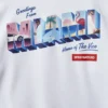 MIAMI VICE HOODY (WHITE)