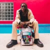 MIAMI VICE WINGS UP BACKPACK (DLXV)