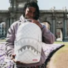MONEY PATTERN POWDER BACKPACK (DLXV)