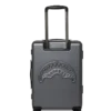 MONEYBEAR VAULT: HARDSHELL CARRY-ON LUGGAGE