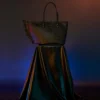 NIGHTFLIGHT G800 SKYBORNE WING TOTE