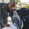 SG ALL DAY PET CARRIER