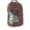 SHARK BITE MONEY EXPLOSION