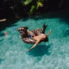 SHARK STASH - POOL PARTY FLOATY