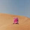 SUGAR DRIP CANDY BITE CARRY-ON LUGGAGE