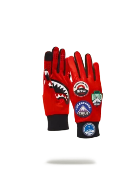 THE GLOBAL EXPEDITION GLOVES