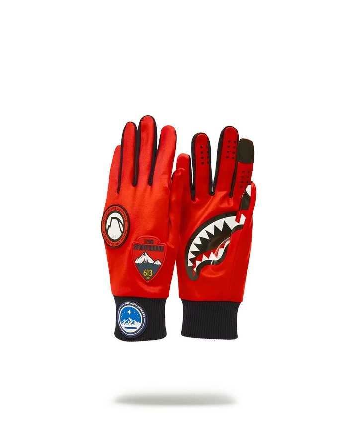 THE GLOBAL EXPEDITION GLOVES