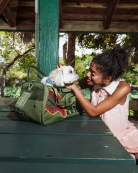 WON’T STOP TILL THE TOP PET CARRIER