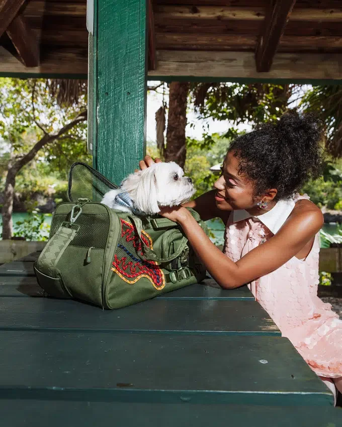 WON'T STOP TILL THE TOP PET CARRIER